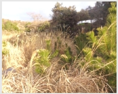  2025Ÿ907   ȴ ȭ 2026-11      (Ӿ)