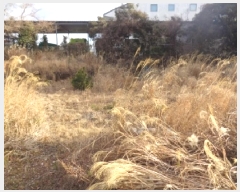  2025Ÿ907   ȴ ȭ 2026-11      (Ӿ)