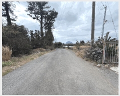  2025Ÿ��945 ���� �������� �ȴ��� ��â�� 1808-1      ����(������)���