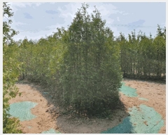  2025Ÿ��1007 ���� �������� ������ ��޸� 1560      ����(��1)���