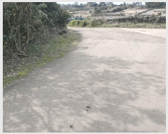  2025Ÿ��1007 ���� �������� ������ ��޸� 1560      ����(��1)���