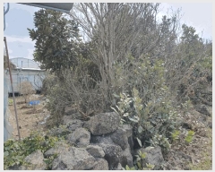  2025Ÿ��1007 ���� �������� ������ ��޸� 1560      ����(��1)���