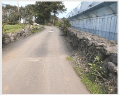  2025Ÿ��1007 ���� �������� ������ ��޸� 1560      ����(��1)���