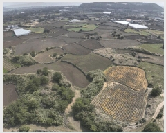  2025Ÿ��1068 ���� ���ֽ� ������ ��ȭ�� 3168      ����(��1)���