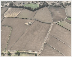  2025Ÿ��1068 ���� ���ֽ� ������ ��ȭ�� 3168      ����(��1)���