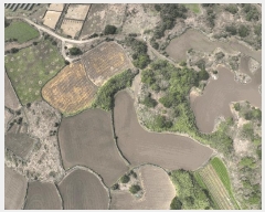  2025Ÿ��1068 ���� ���ֽ� ������ ��ȭ�� 3168      ����(��1)���