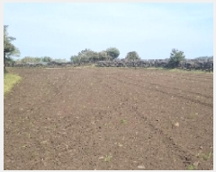  2025Ÿ��1068 ���� ���ֽ� ������ ��ȭ�� 3168      ����(��1)���