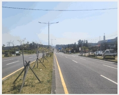  2025Ÿ��1089  �ٸ��󰡰��