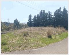  2025Ÿ��1115  �����