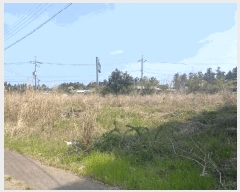  2025Ÿ��1115  �����