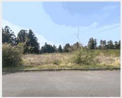  2025Ÿ��1115  �����