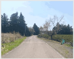  2025Ÿ��1115  �����