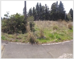  2025Ÿ��1115  �����