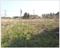  2025Ÿ��1115  �����