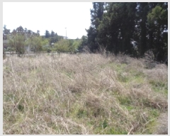  2025Ÿ��1115  �����