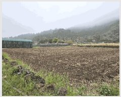  2025Ÿ��1145 ���� �������� �ȴ��� ��踮 3109      ����(��1)���