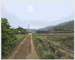  2025Ÿ��1145 ���� �������� �ȴ��� ��踮 3109      ����(��1)���