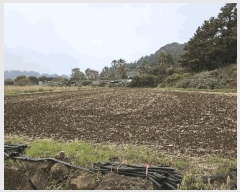  2025Ÿ��1145 ���� �������� �ȴ��� ��踮 3109      ����(��1)���