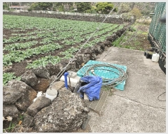  2025Ÿ��1145 ���� �������� �ȴ��� ��踮 3109      ����(��1)���