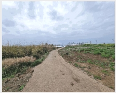  2025Ÿ��1169  �����