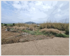  2025Ÿ��1169  �����