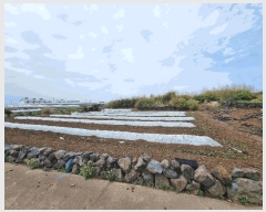  2025Ÿ��1169  �����