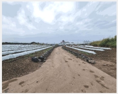  2025Ÿ��1169  �����