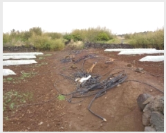  2025Ÿ��1169  �����