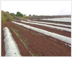  2025Ÿ��1169  �����