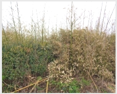  2025Ÿ��1169  �����