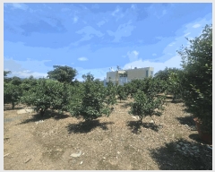  2025Ÿ��1177 ���� �������� ��ȫ�� 1338-2       ����,â�����