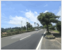  2025Ÿ��1177 ���� �������� ��ȫ�� 1338-2       ����,â�����