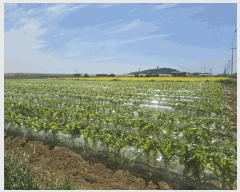  2025Ÿ��1193  �����