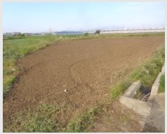  2025Ÿ��1193  �����