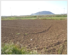  2025Ÿ��1193  �����