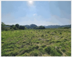  2025Ÿ��1202 ���� �������� ��ȫ�� 934       ����(��)���