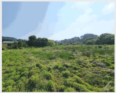  2025Ÿ��1202 ���� �������� ��ȫ�� 934       ����(��)���