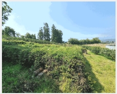  2025Ÿ��1202 ���� �������� ��ȫ�� 934       ����(��)���