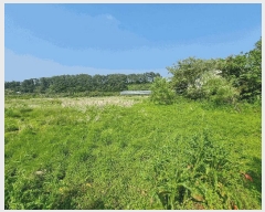  2025Ÿ��1202 ���� �������� ��ȫ�� 934       ����(��)���