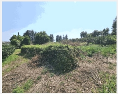  2025Ÿ��1202 ���� �������� ��ȫ�� 934       ����(��)���