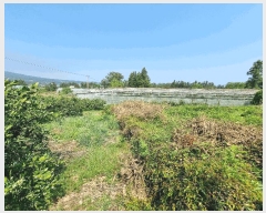  2025Ÿ��1202 ���� �������� ��ȫ�� 934       ����(��)���