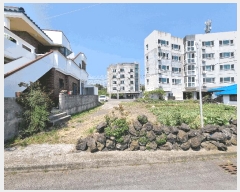  2025Ÿ��1202 ���� �������� ��ȫ�� 934       ����(��)���