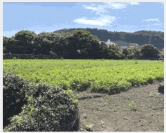  2025Ÿ��1229  �����