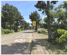  2025Ÿ��1229  �����