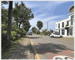  2025Ÿ��1229  �����