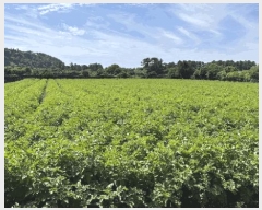  2025Ÿ��1229  �����