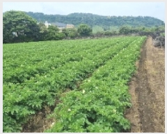  2025Ÿ��1229  �����