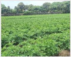  2025Ÿ��1229  �����