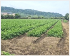  2025Ÿ��1229  �����