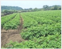  2025Ÿ��1229  �����